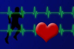 Sport de combat et fréquence cardiaque